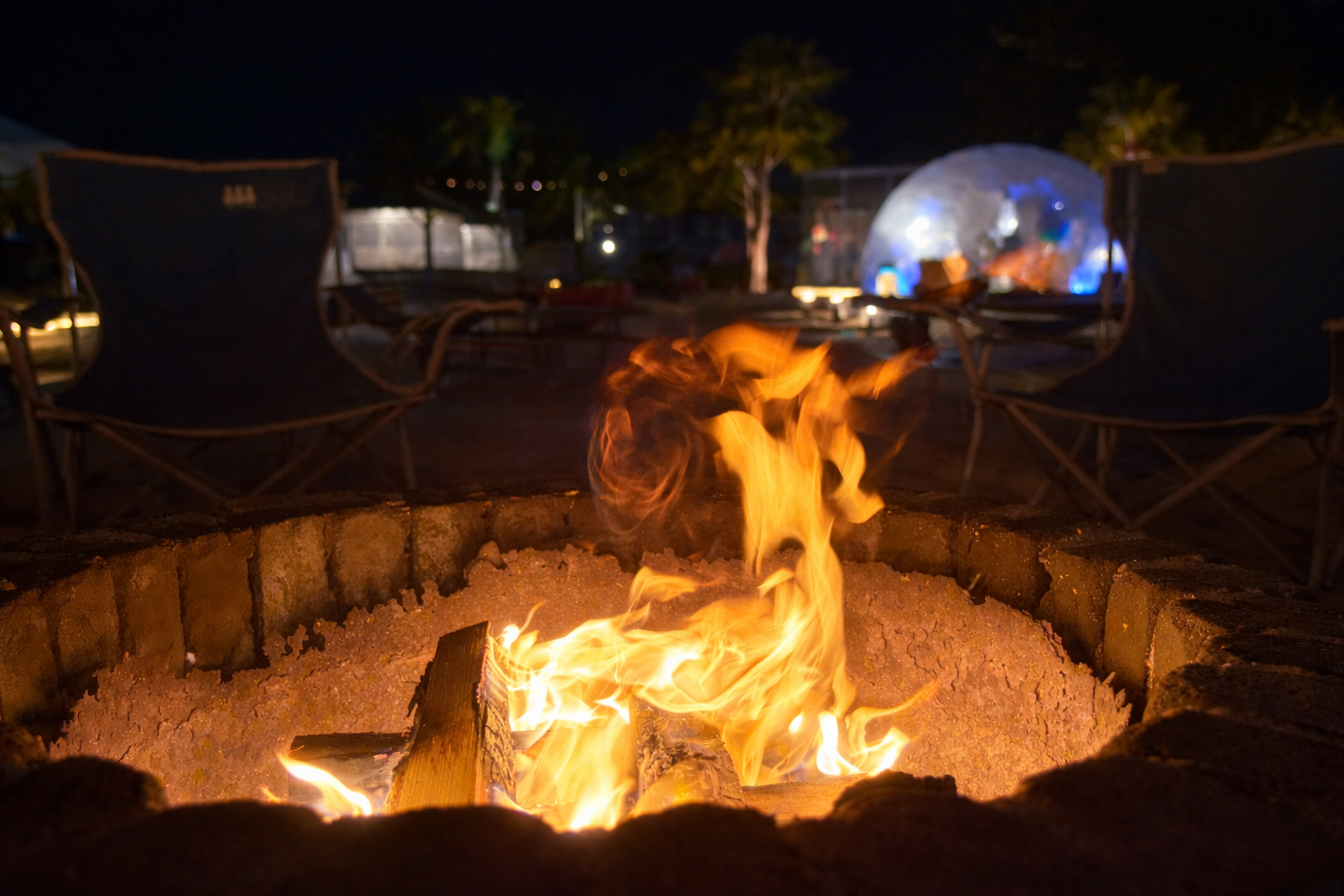 アクティビティ