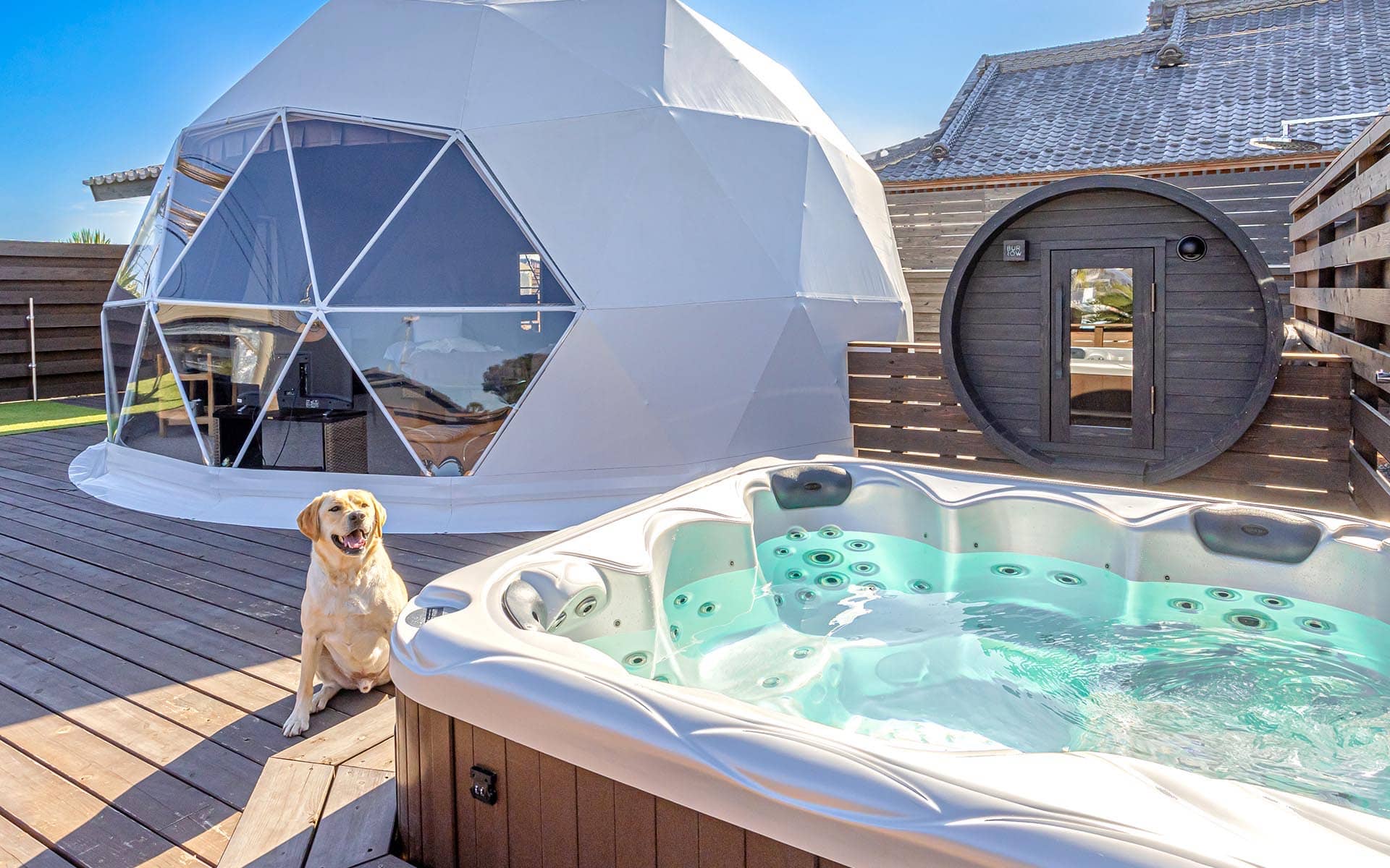 ドッグプレミアムドーム内部